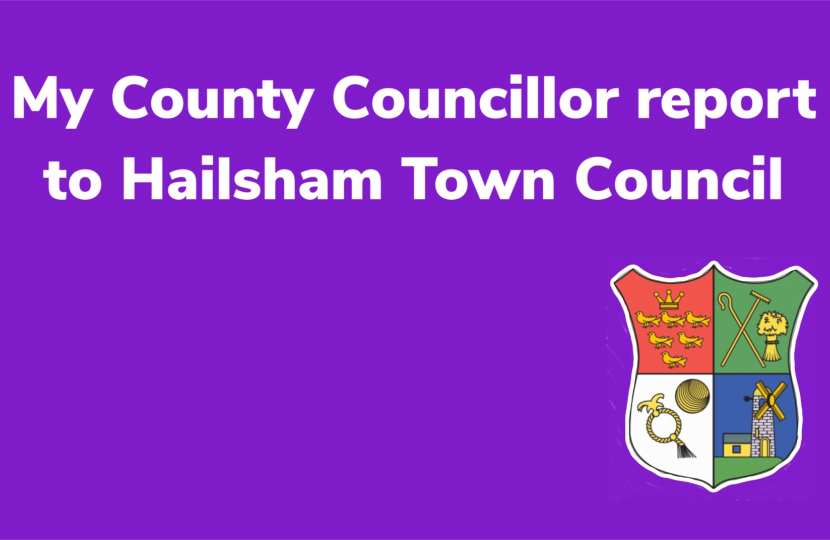 Cllr Fox March Report to Hailsham Town Council
